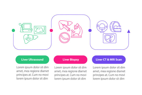 Liver Testing Vector Infographic Graphics