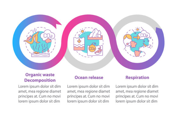 Natural CO2 Emissions Vector Infographic Graphics